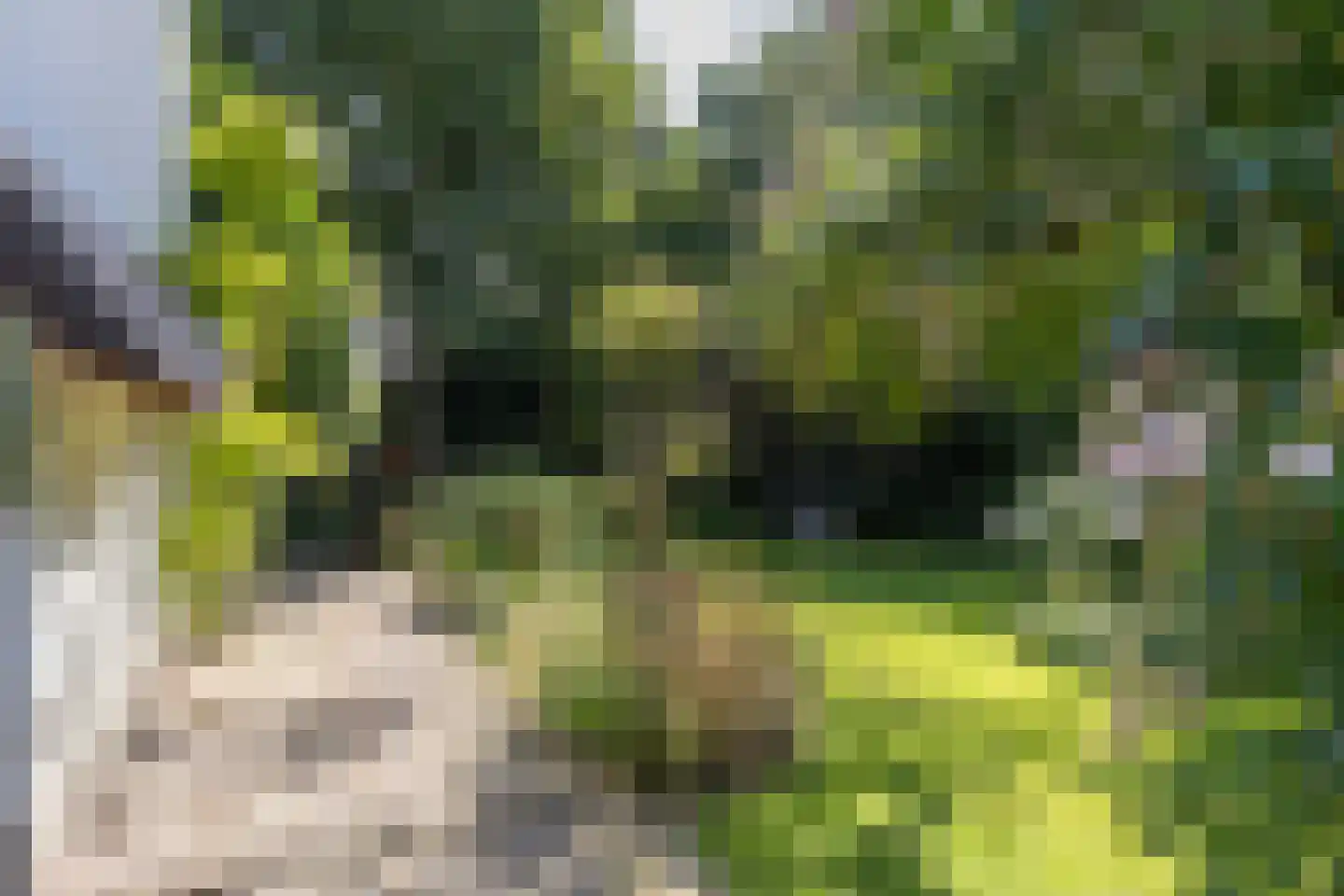 De Hooghlaan 25 Bilthoven thumbnail 55