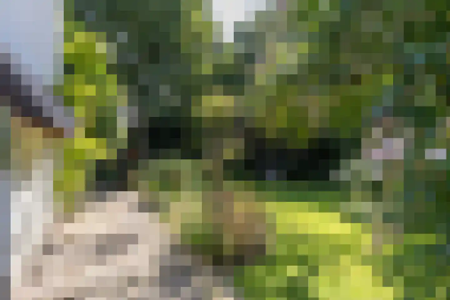 De Hooghlaan 25 Bilthoven thumbnail 56