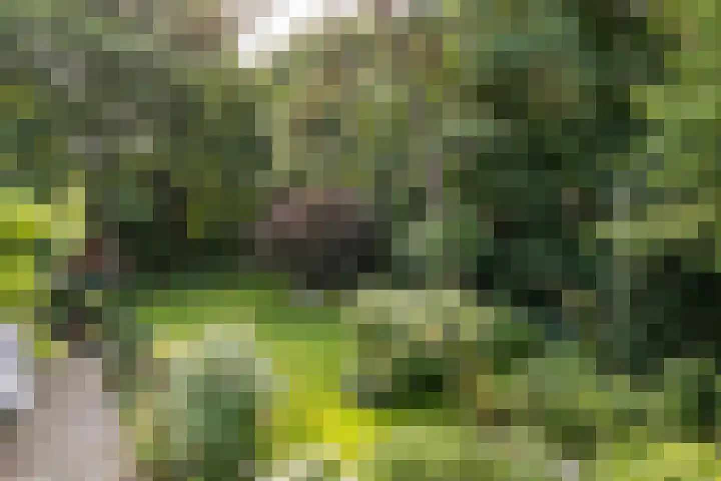 De Hooghlaan 25 Bilthoven thumbnail 57
