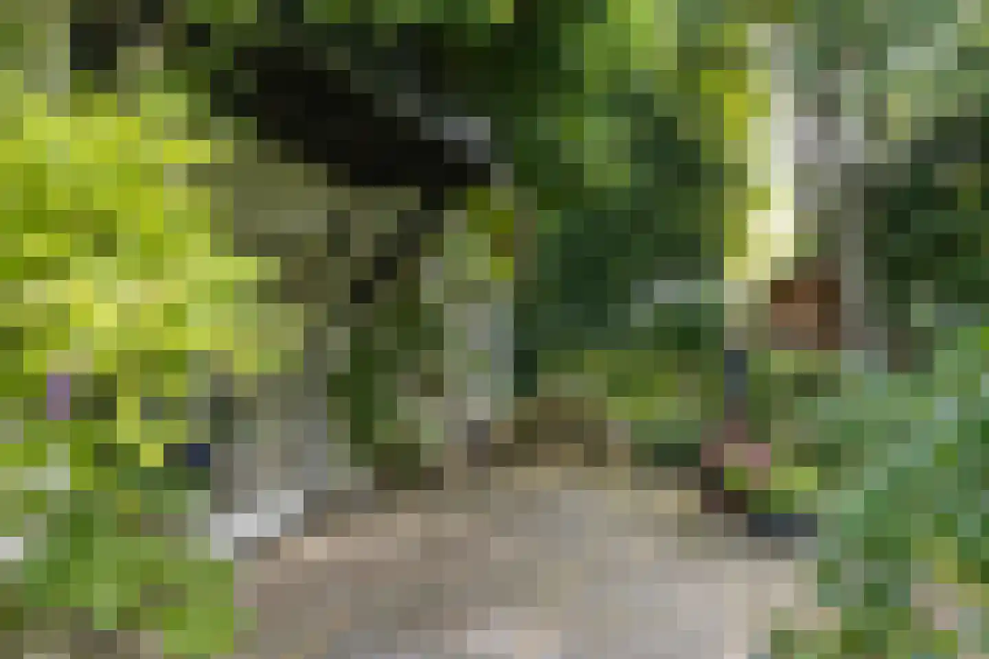De Hooghlaan 25 Bilthoven thumbnail 58