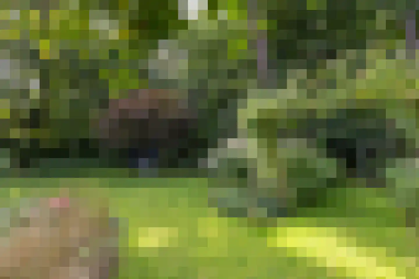 De Hooghlaan 25 Bilthoven thumbnail 59