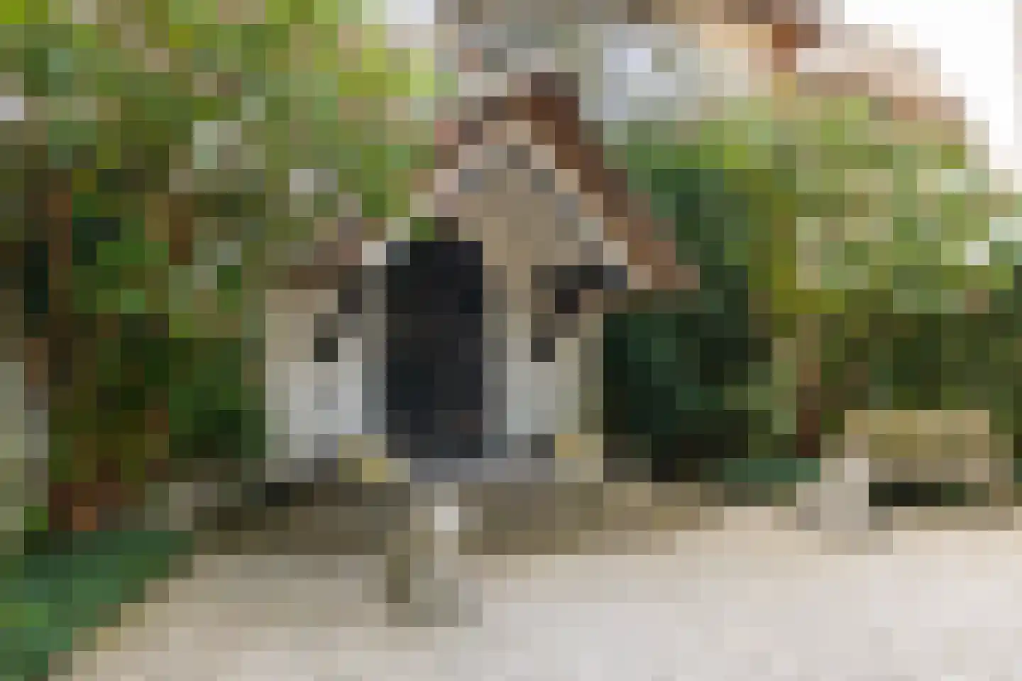 De Hooghlaan 25 Bilthoven thumbnail 6