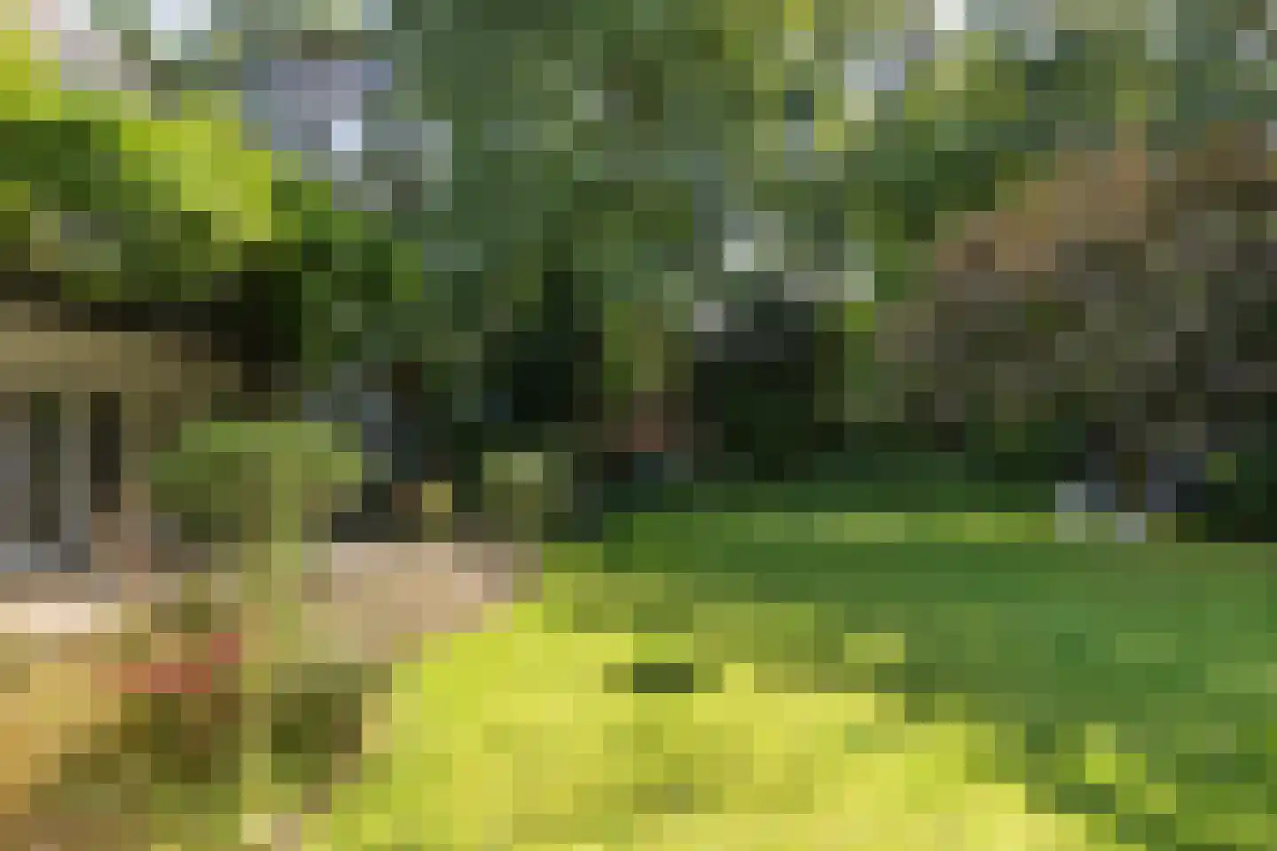 De Hooghlaan 25 Bilthoven thumbnail 60