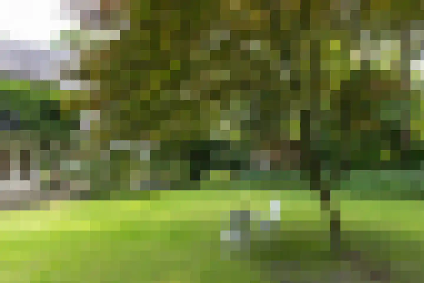 De Hooghlaan 25 Bilthoven thumbnail 61