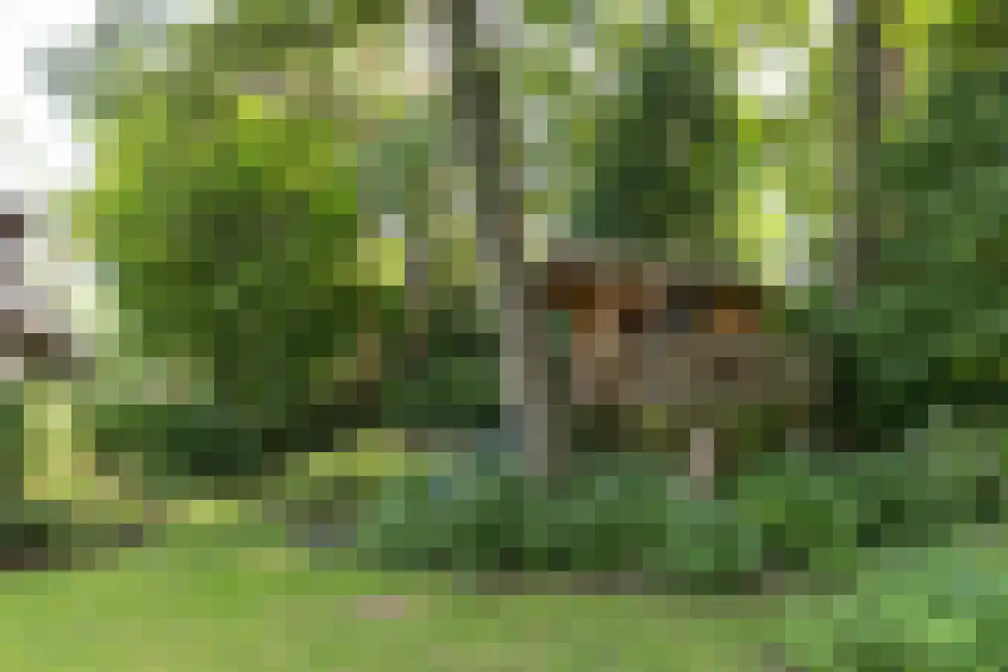De Hooghlaan 25 Bilthoven thumbnail 62