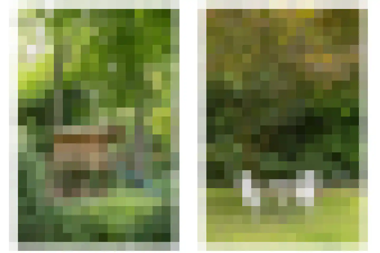 De Hooghlaan 25 Bilthoven thumbnail 63