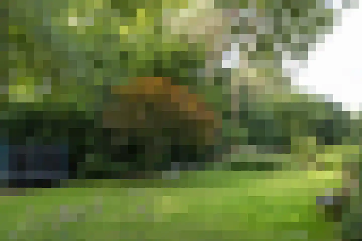 De Hooghlaan 25 Bilthoven thumbnail 64