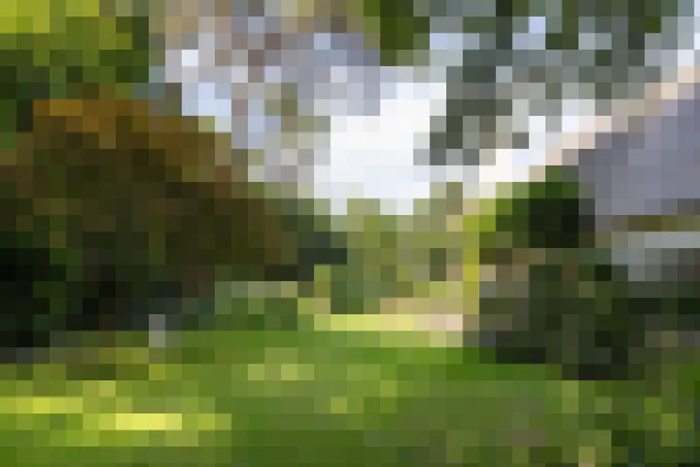 De Hooghlaan 25 Bilthoven thumbnail 65