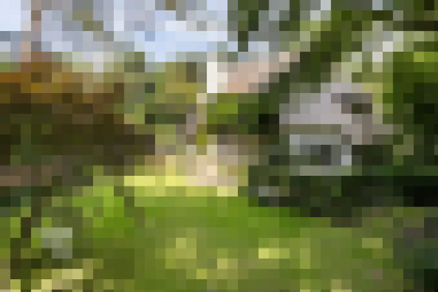De Hooghlaan 25 Bilthoven thumbnail 66