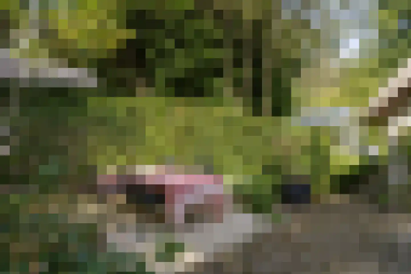 De Hooghlaan 25 Bilthoven thumbnail 67