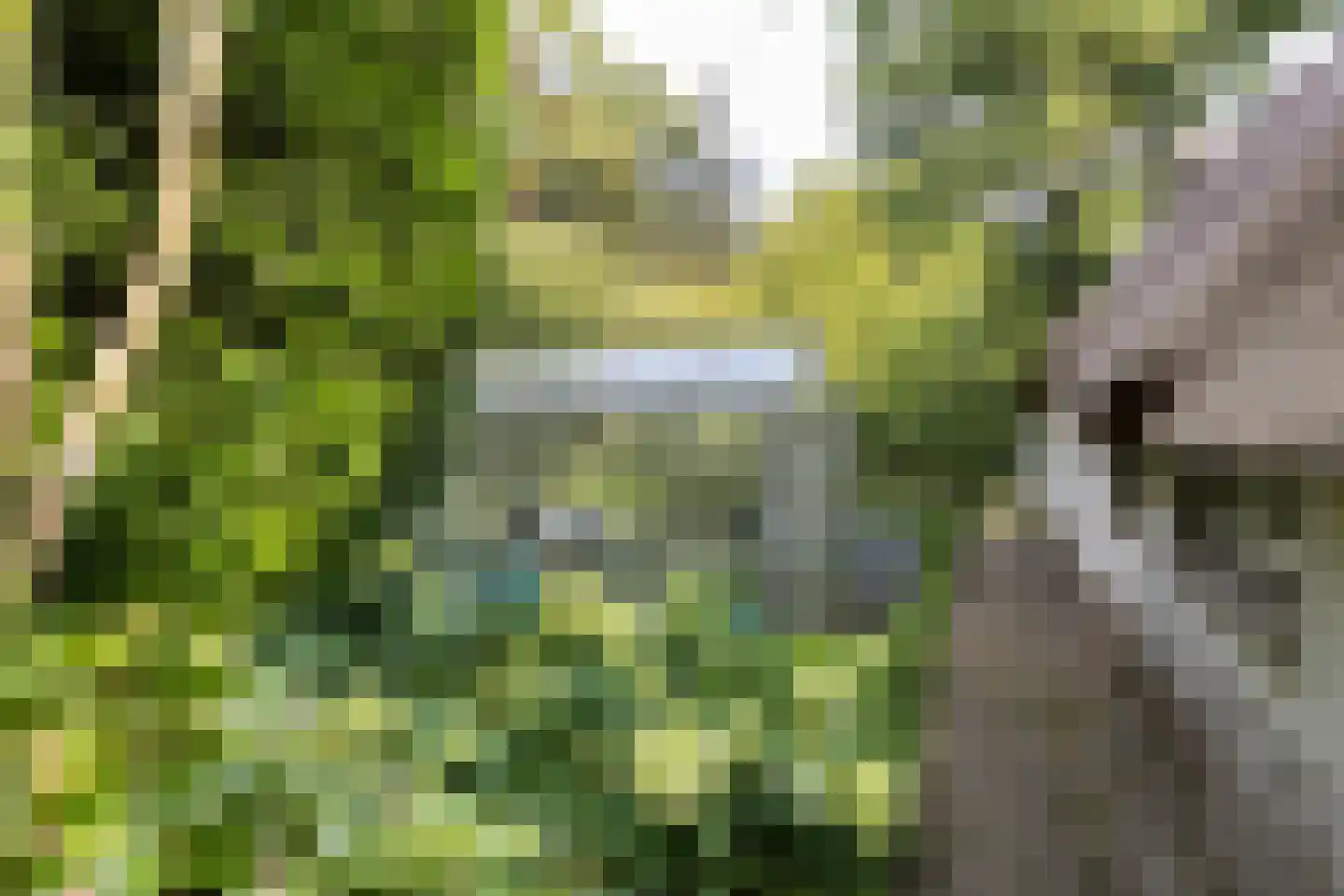 De Hooghlaan 25 Bilthoven thumbnail 68