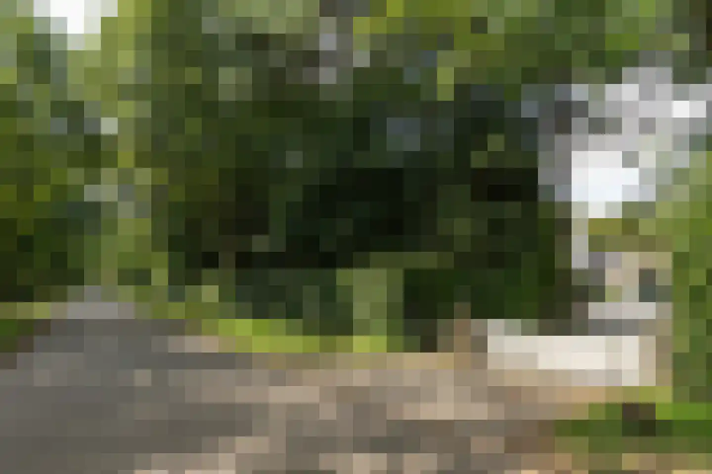 De Hooghlaan 25 Bilthoven thumbnail 69