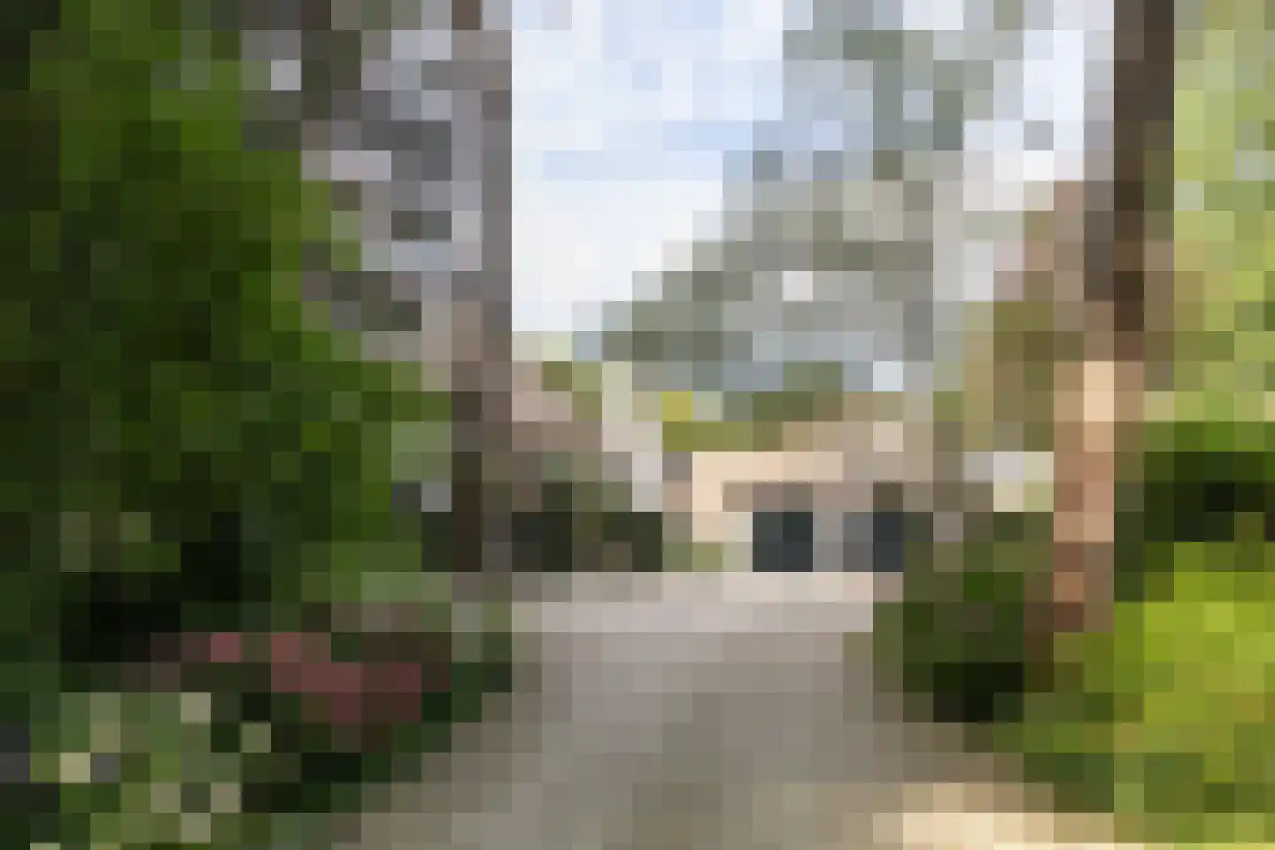 De Hooghlaan 25 Bilthoven thumbnail 70