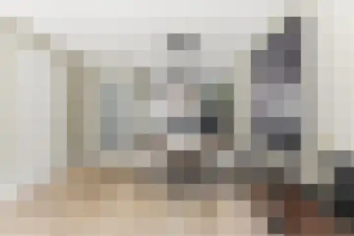 De Hooght 36 Papendrecht thumbnail 11