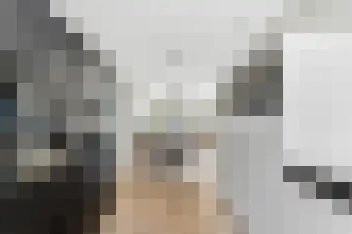De Hooght 36 Papendrecht thumbnail 14