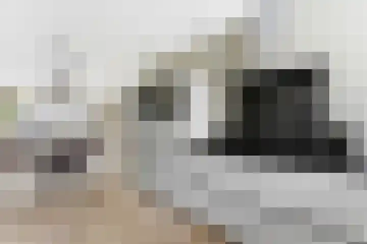 De Hooght 36 Papendrecht thumbnail 16