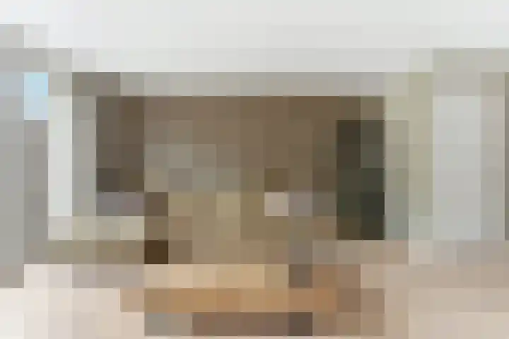 De Hooght 36 Papendrecht thumbnail 7