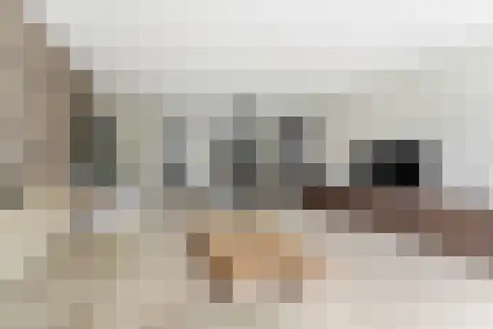 De Hooght 36 Papendrecht thumbnail 9
