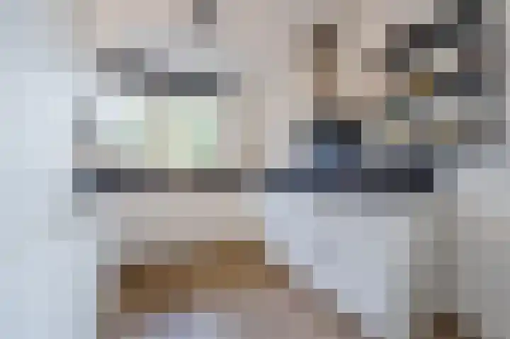 De Hooght 86 Papendrecht thumbnail 11
