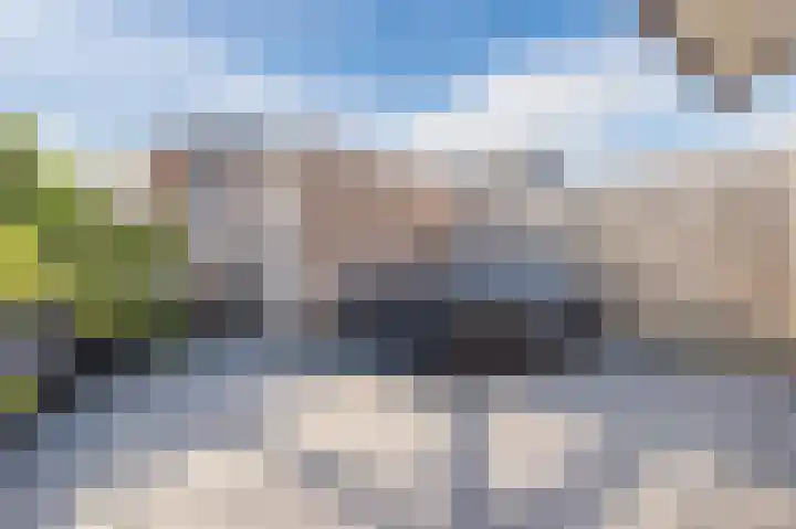 De Hooght 86 Papendrecht thumbnail 35
