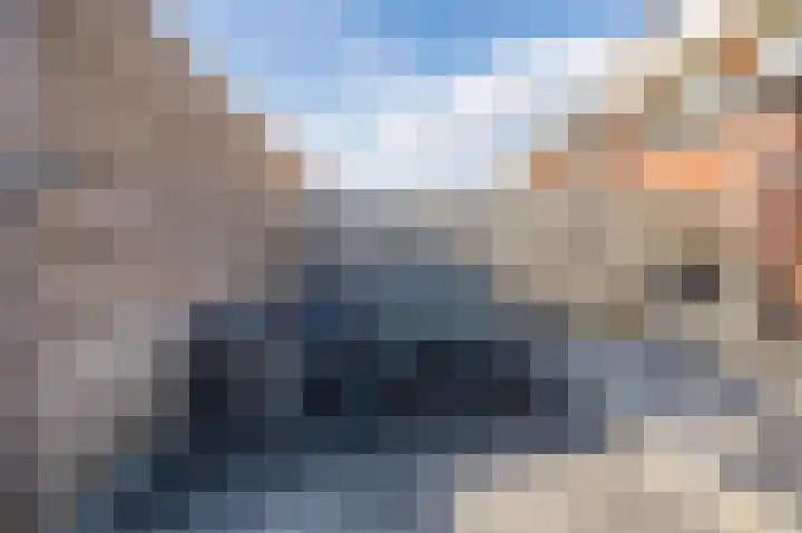 De Hooght 86 Papendrecht thumbnail 36