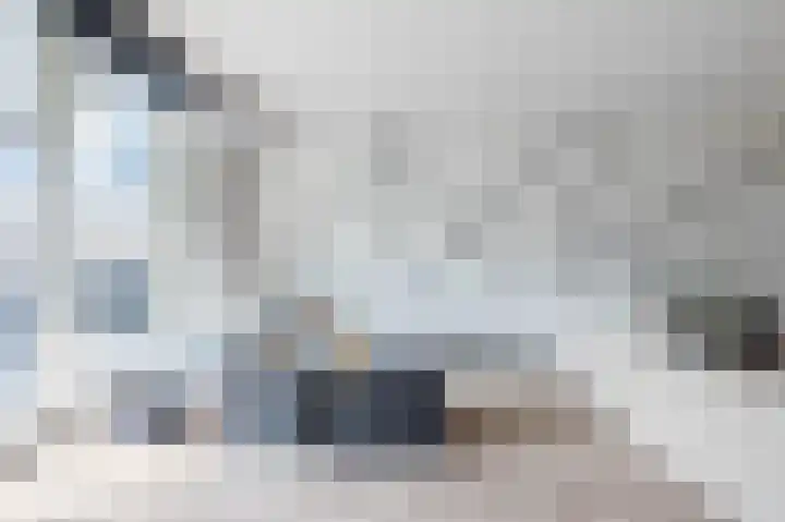 De Hooght 86 Papendrecht thumbnail 4
