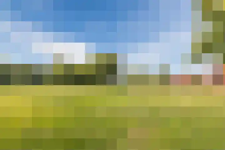 De Hooght 86 Papendrecht thumbnail 44