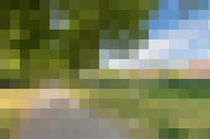 De Hooght 86 Papendrecht thumbnail 45