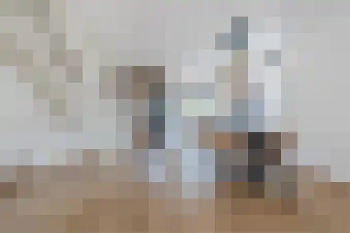 De Hooght 86 Papendrecht thumbnail 7