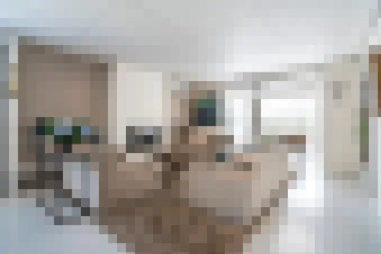 De Hoogjens 40 Sleeuwijk thumbnail 5