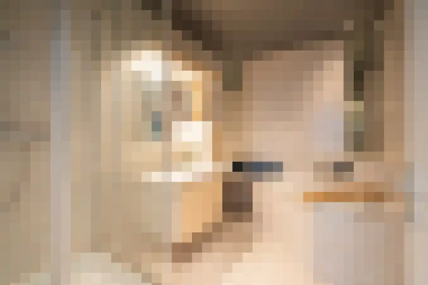 De Hoogjens 40 Sleeuwijk thumbnail 52