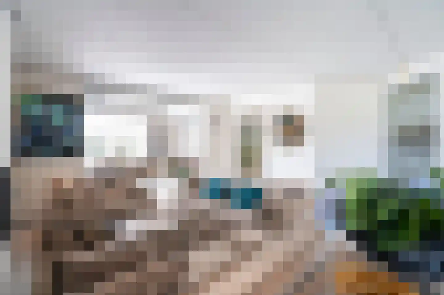 De Hoogjens 40 Sleeuwijk thumbnail 6