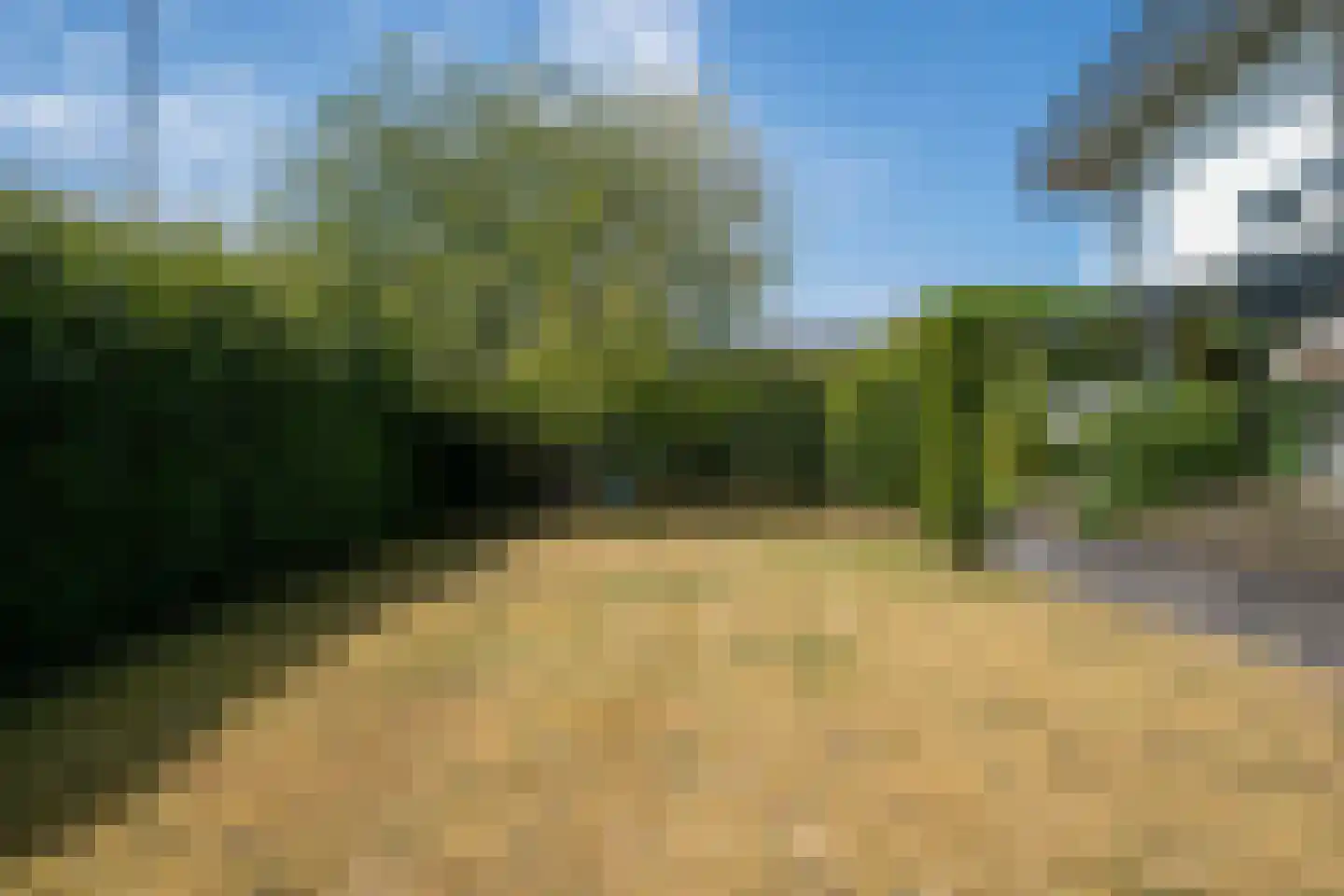 De Hoogjens 40 Sleeuwijk thumbnail 60