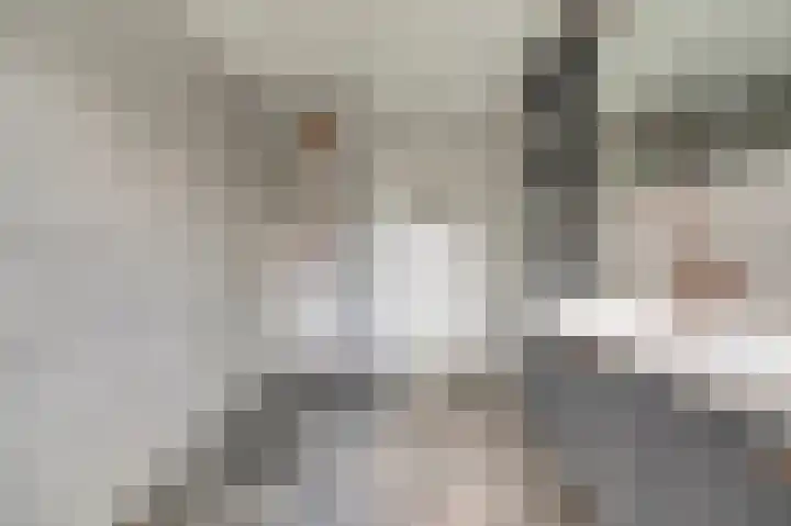De Hoogstraat 12 Vlijmen thumbnail 20