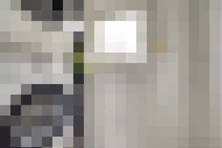 De Hoogstraat 12 Vlijmen thumbnail 26