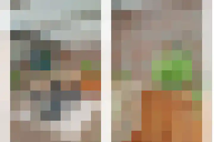 De Hoogstraat 12 Vlijmen thumbnail 31