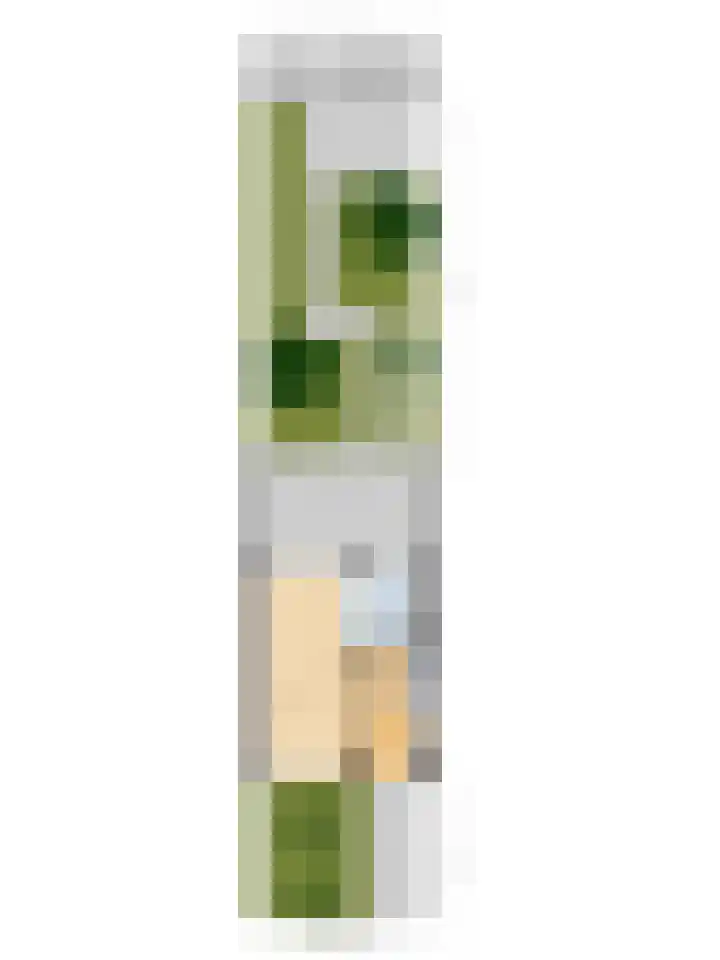 De Hoogstraat 12 Vlijmen thumbnail 41
