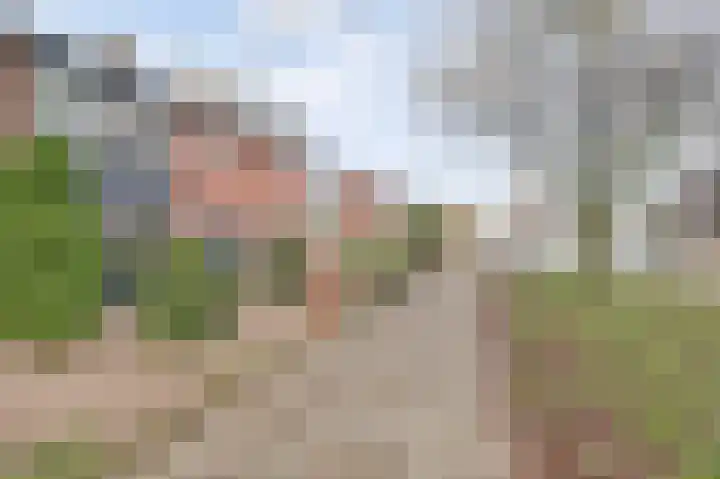 De Hoogstraat 12 Vlijmen thumbnail 42