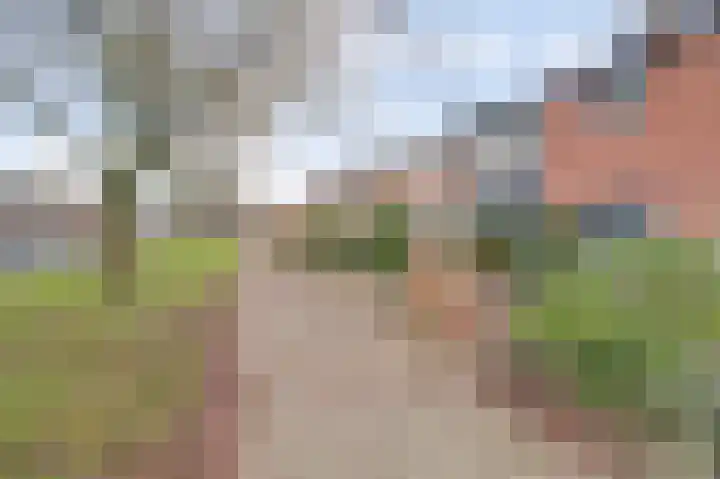De Hoogstraat 12 Vlijmen thumbnail 43