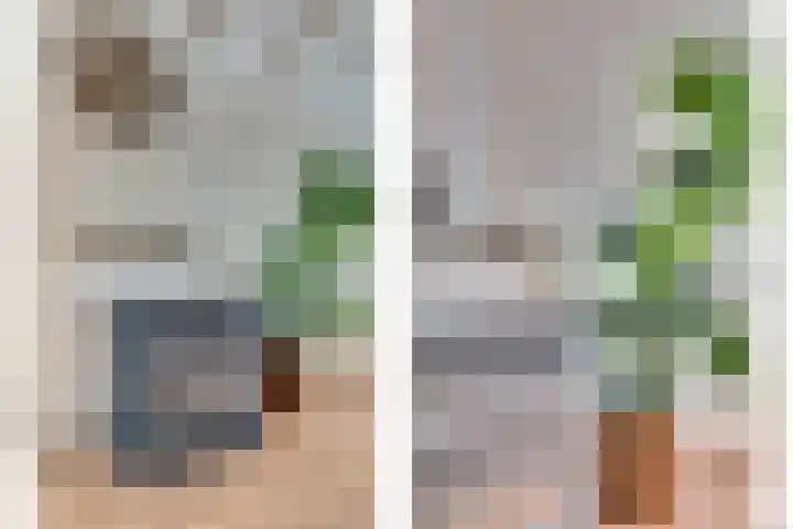De Hoogstraat 12 Vlijmen thumbnail 5