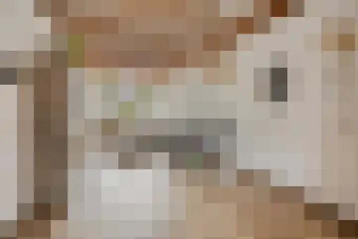 De Hoogstraat 3 Vlijmen thumbnail 12