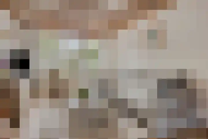 De Hoogstraat 3 Vlijmen thumbnail 13