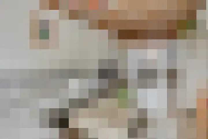 De Hoogstraat 3 Vlijmen thumbnail 15