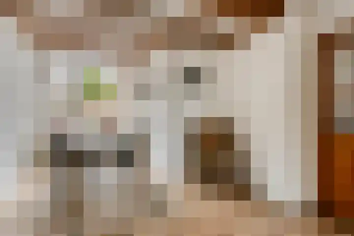 De Hoogstraat 3 Vlijmen thumbnail 16