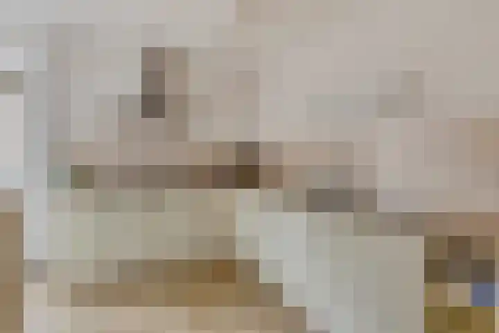 De Hoogstraat 3 Vlijmen thumbnail 18