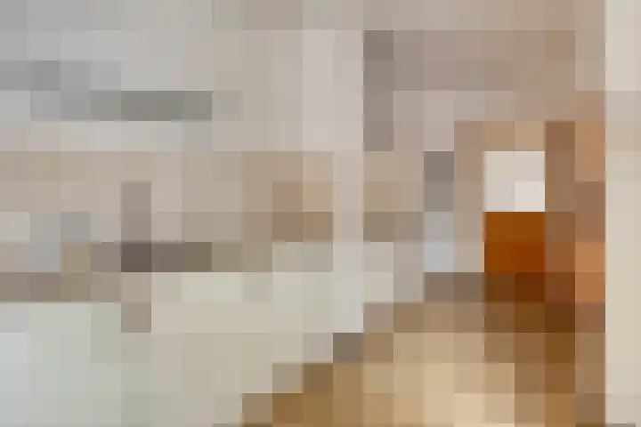 De Hoogstraat 3 Vlijmen thumbnail 20