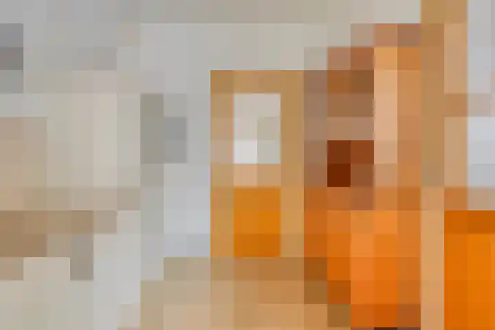 De Hoogstraat 3 Vlijmen thumbnail 21
