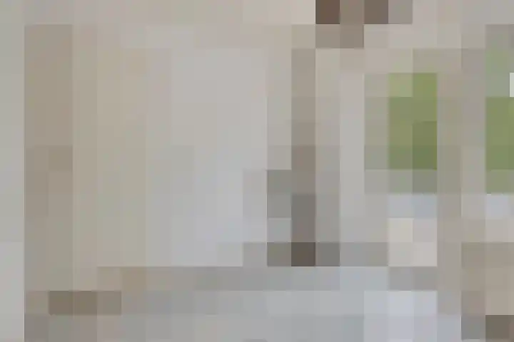 De Hoogstraat 3 Vlijmen thumbnail 26