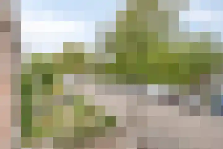 De Hoogstraat 3 Vlijmen thumbnail 27