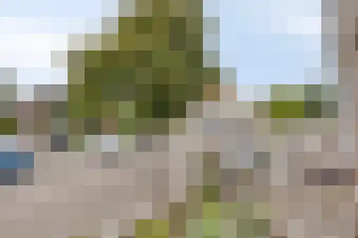De Hoogstraat 3 Vlijmen thumbnail 28